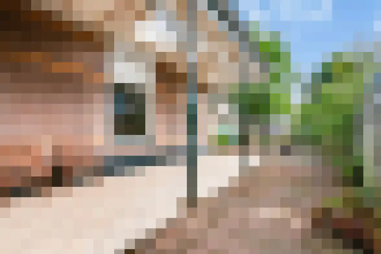 Borneolaan 2 Apeldoorn thumbnail 27