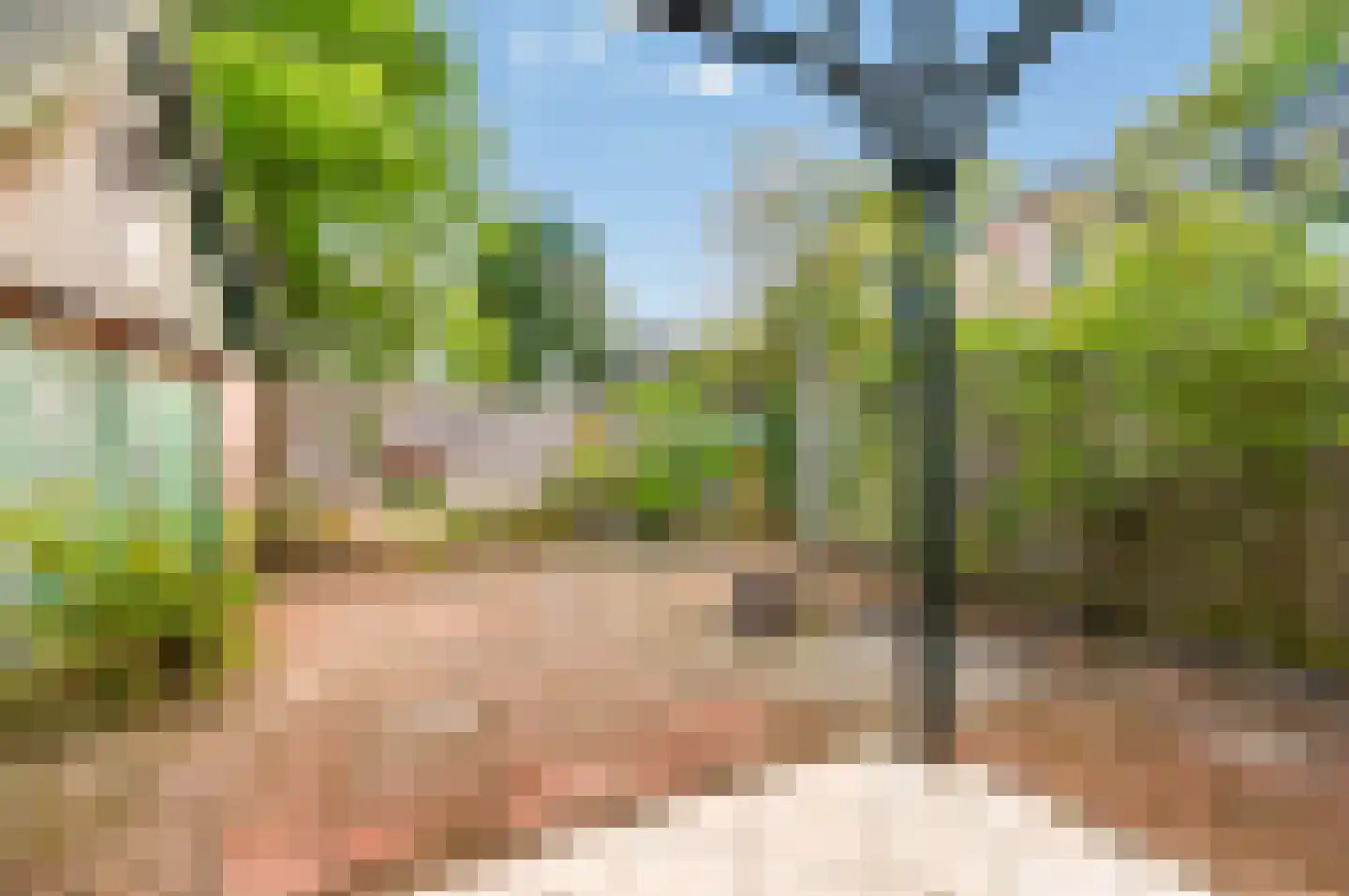 Borneolaan 2 Apeldoorn thumbnail 28