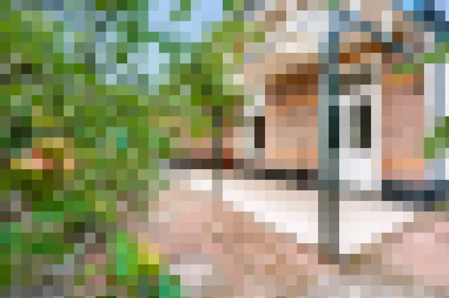 Borneolaan 2 Apeldoorn thumbnail 30