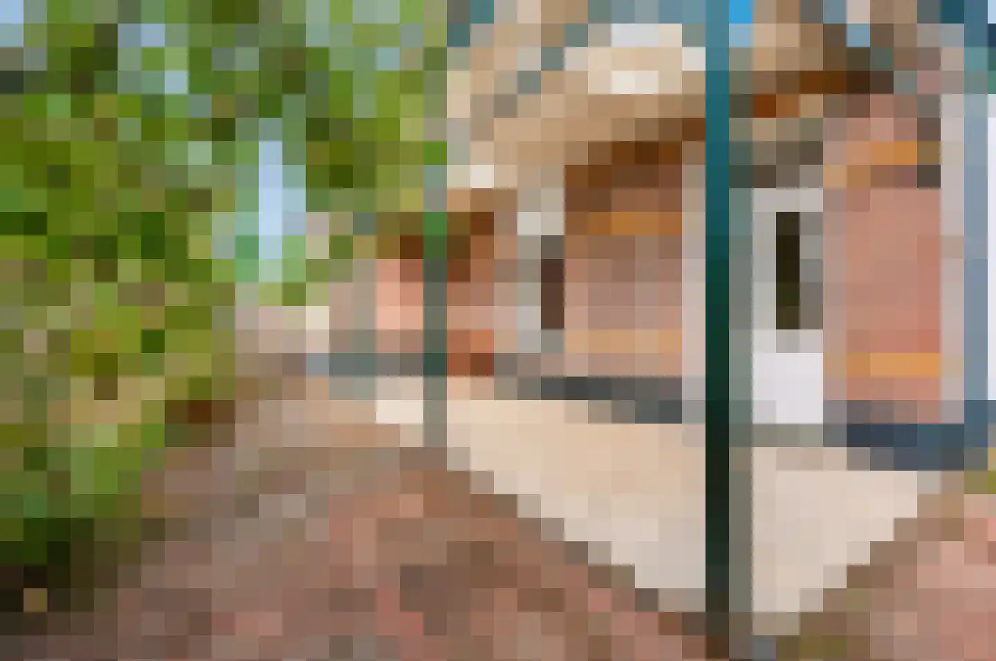 Borneolaan 2 Apeldoorn thumbnail 32