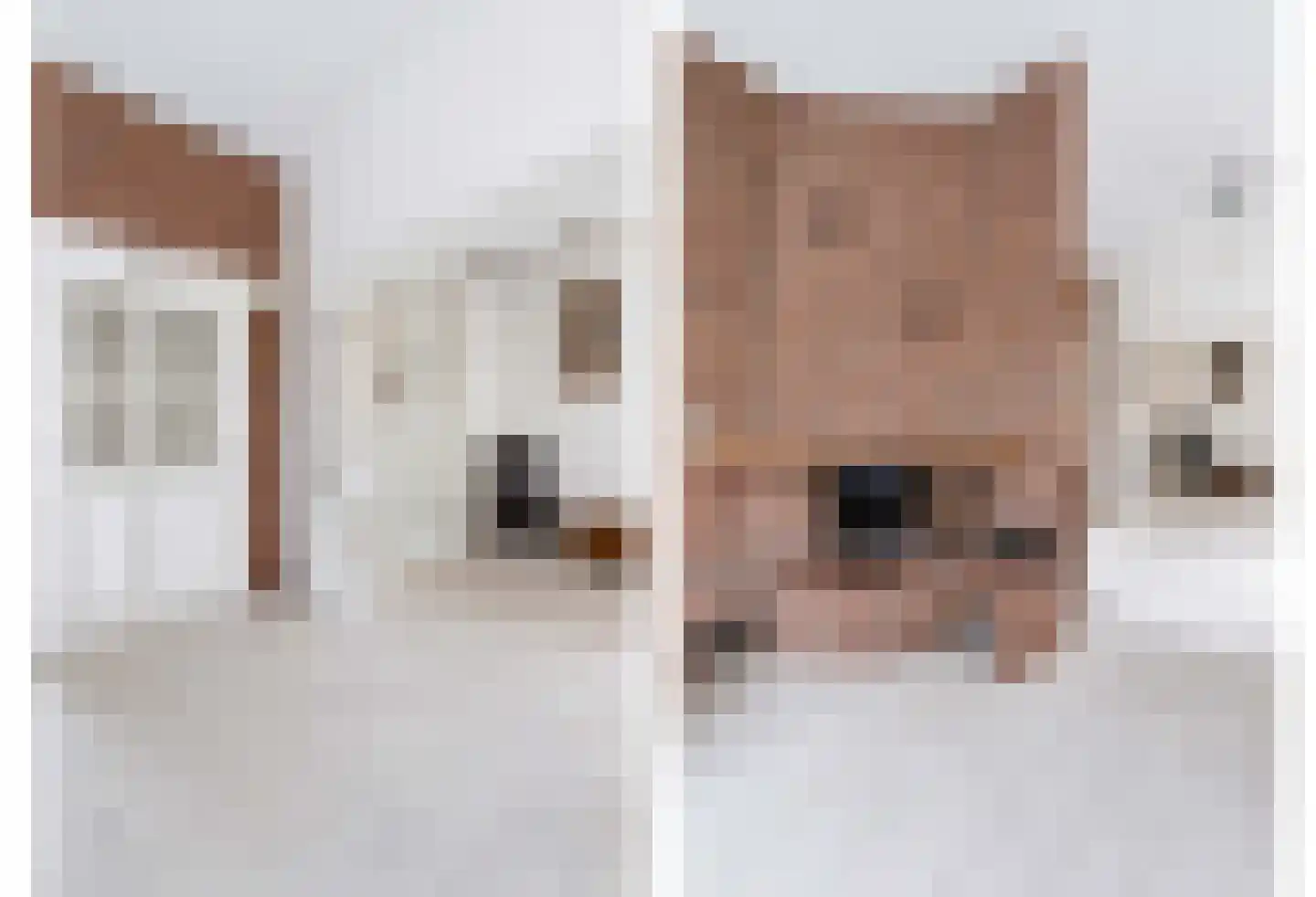 Borneolaan 2 Apeldoorn thumbnail 6