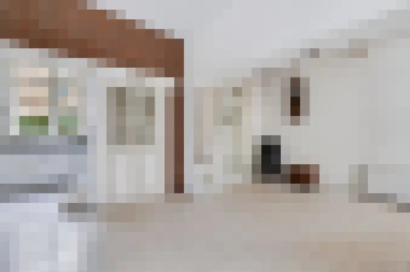 Borneolaan 2 Apeldoorn thumbnail 7