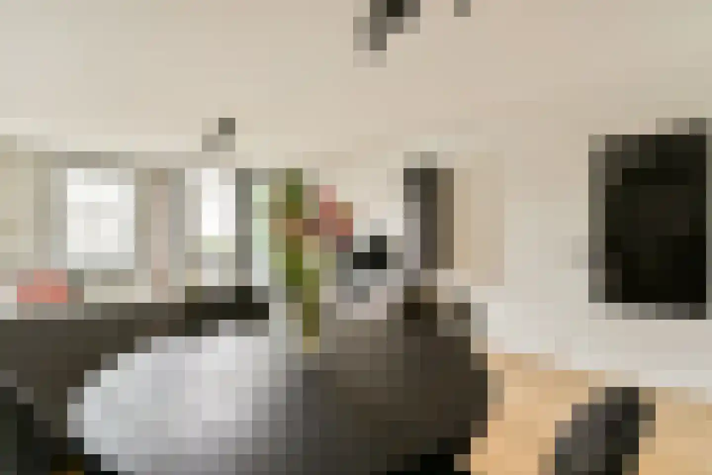 Borneolaan 214 Amsterdam thumbnail 12