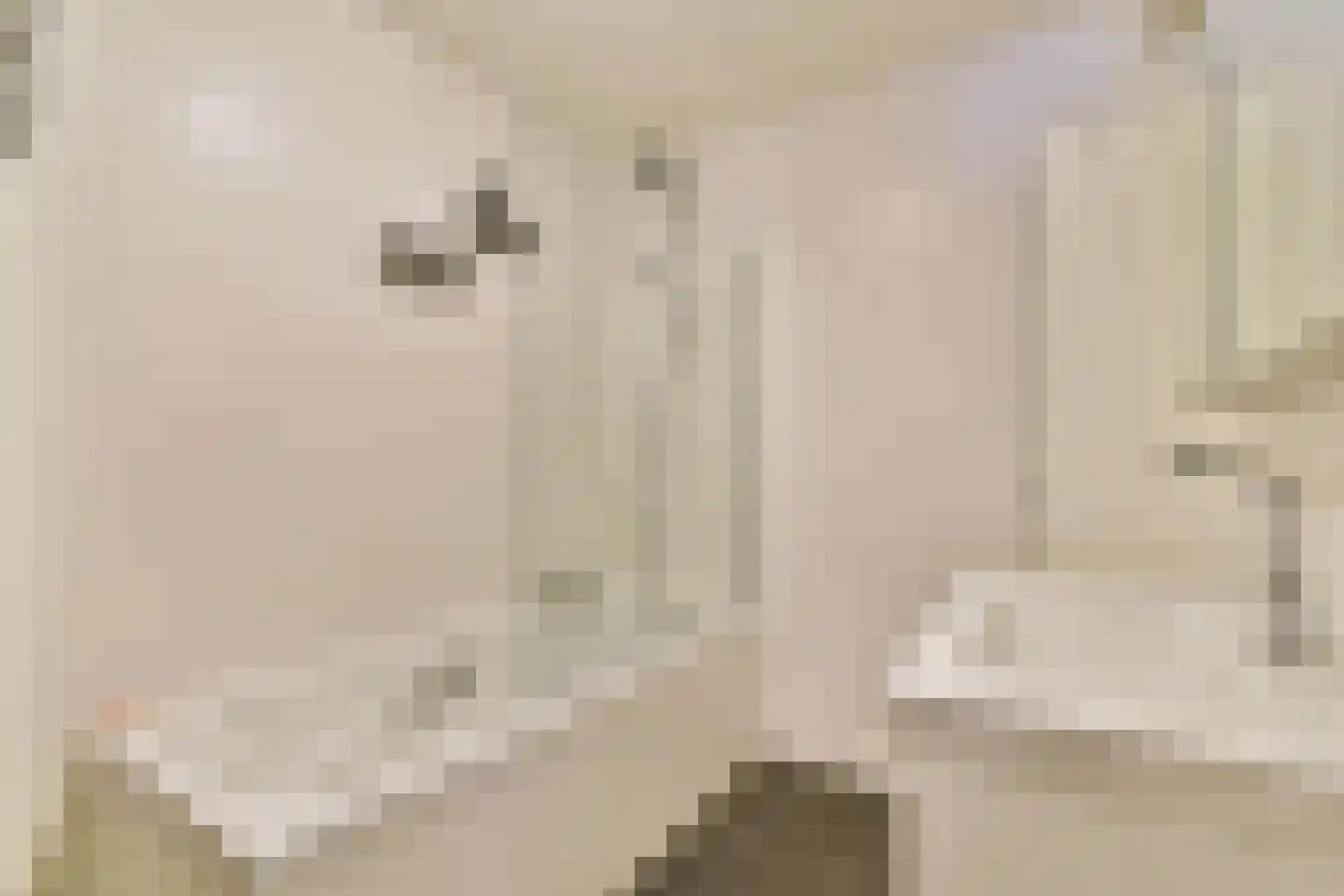 Borneolaan 214 Amsterdam thumbnail 14