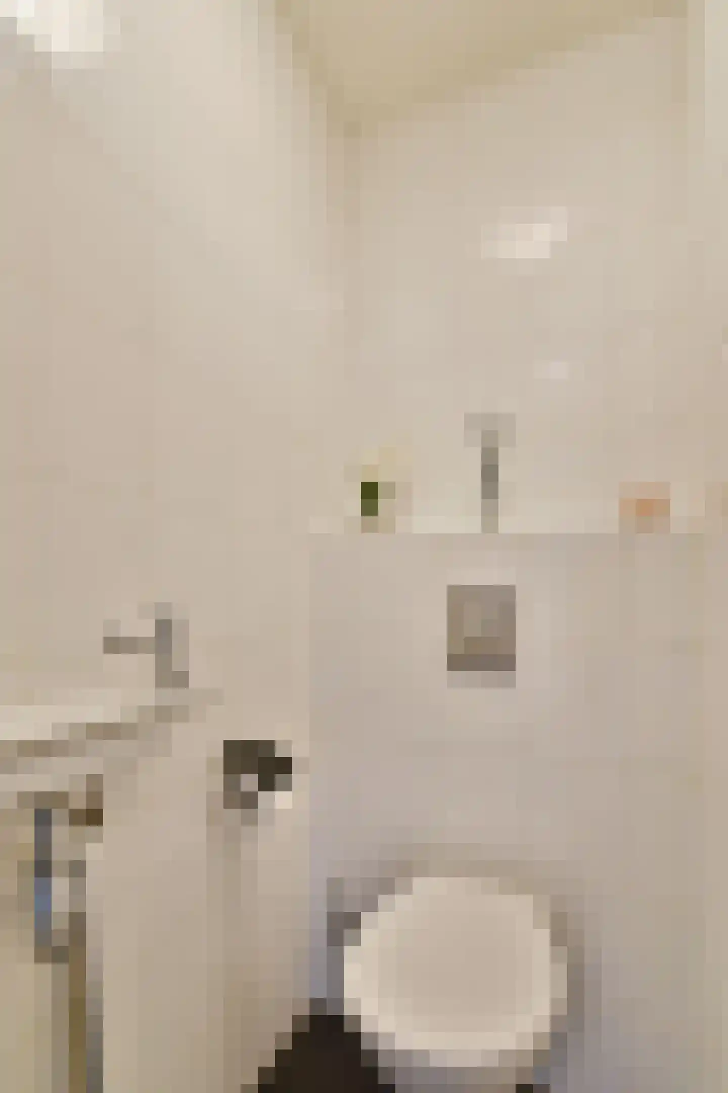 Borneolaan 214 Amsterdam thumbnail 16