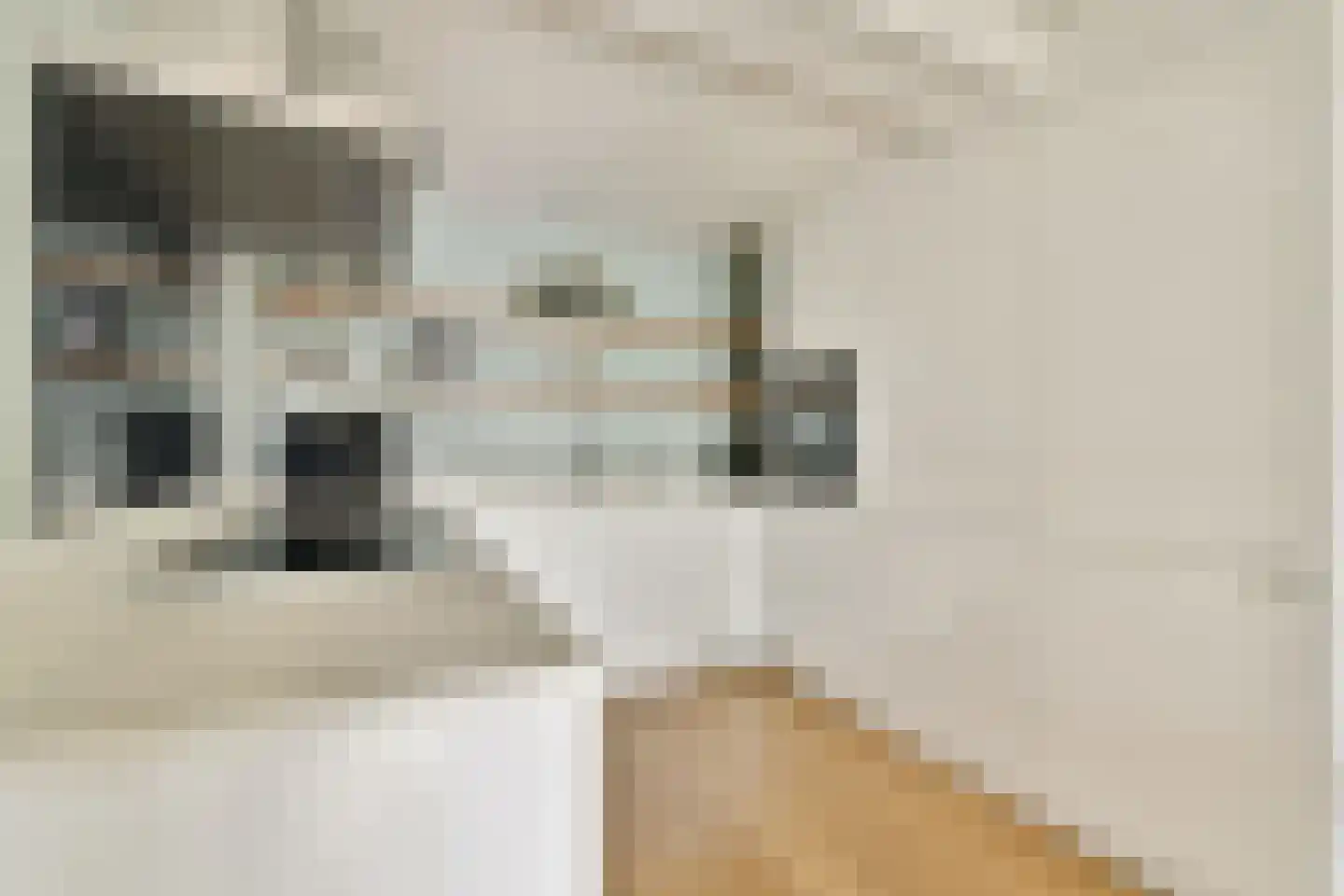 Borneolaan 214 Amsterdam thumbnail 8