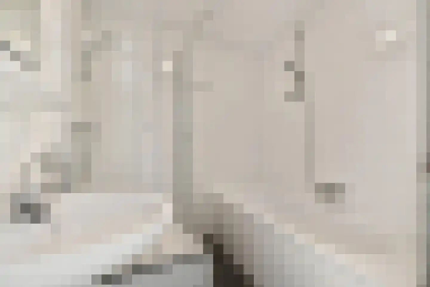 Borneolaan 217 Amsterdam thumbnail 19