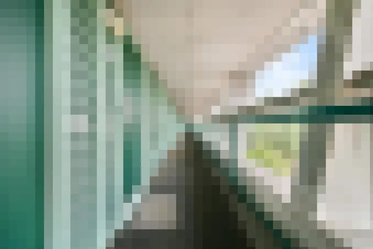 Borneolaan 217 Amsterdam thumbnail 23