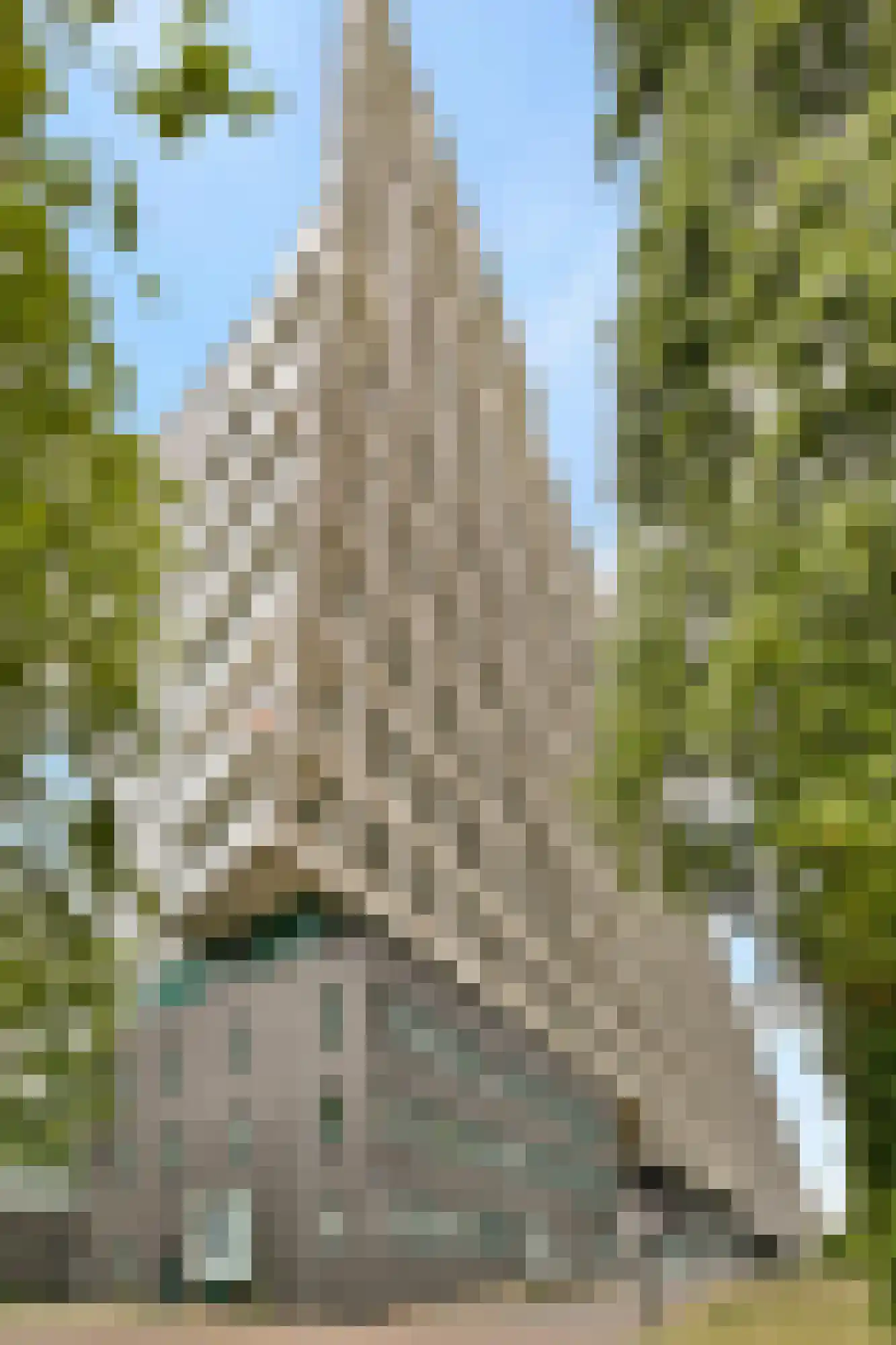 Borneolaan 217 Amsterdam thumbnail 24