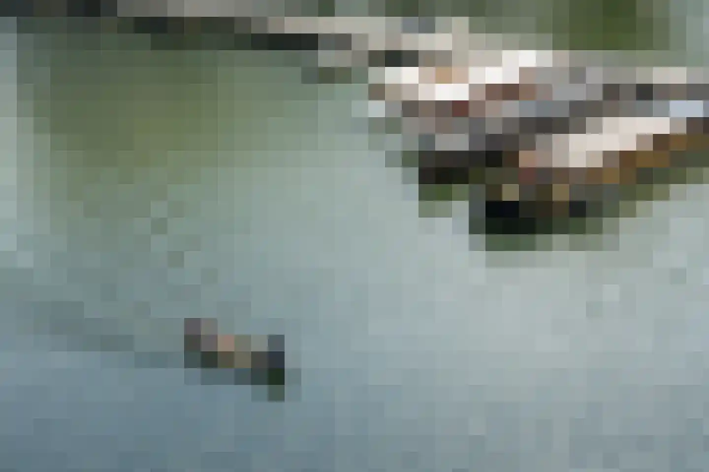 Borneolaan 226 Amsterdam thumbnail 23