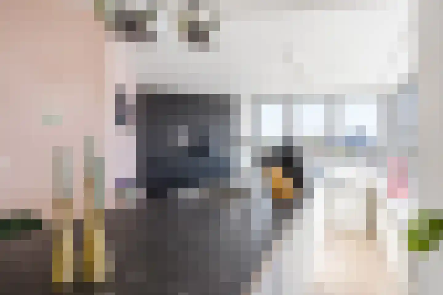 Borneolaan 242 Amsterdam thumbnail 13