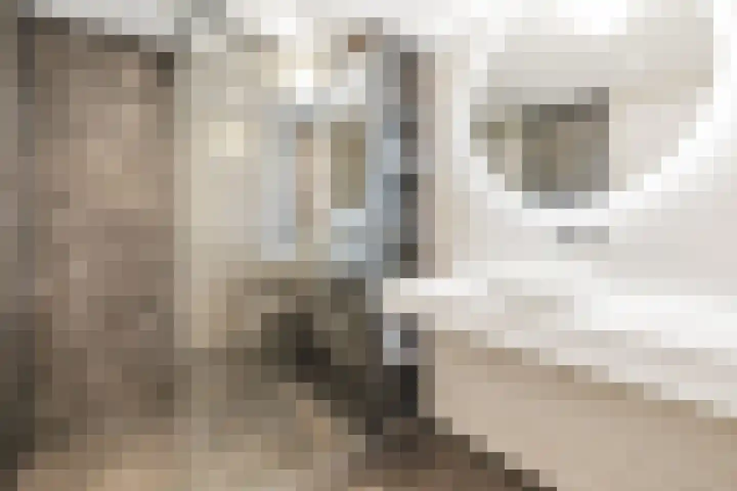 Borneolaan 242 Amsterdam thumbnail 24