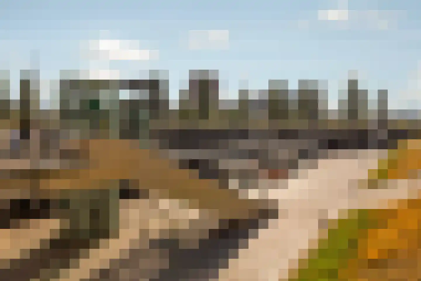 Borneolaan 242 Amsterdam thumbnail 42