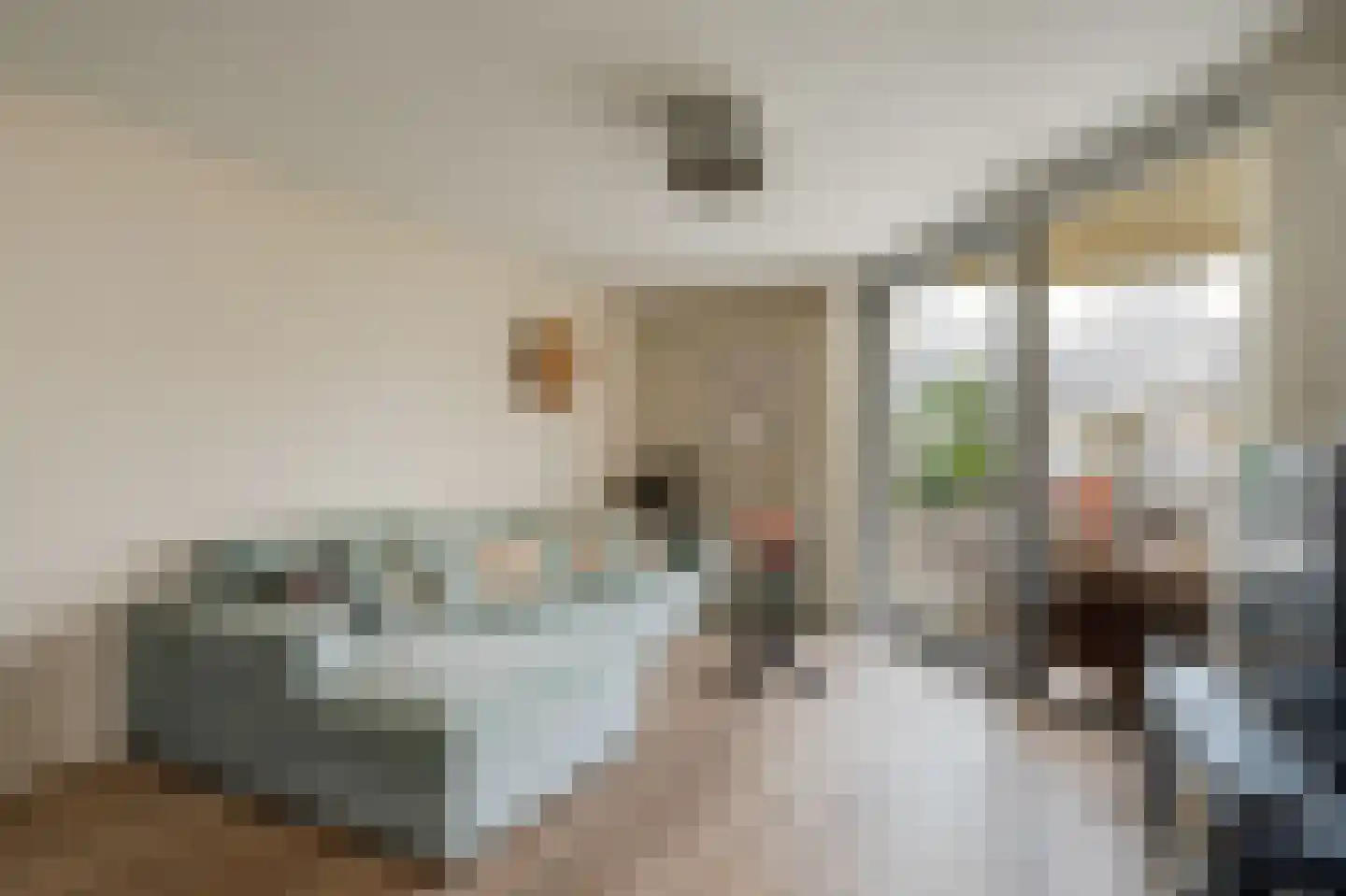 Borneolaan 268 Amsterdam thumbnail 10