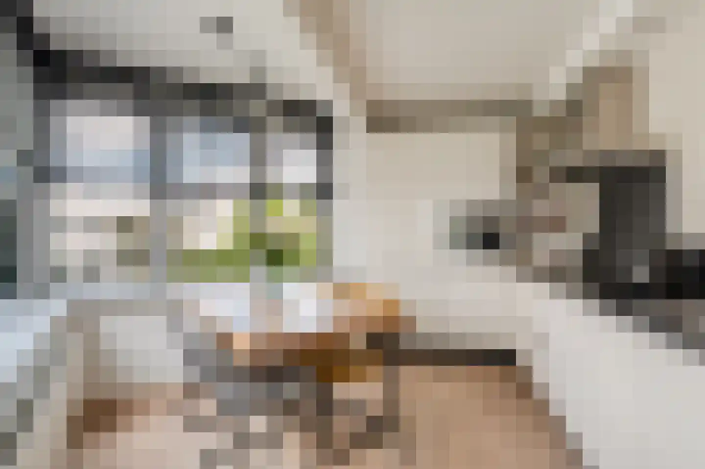 Borneolaan 268 Amsterdam thumbnail 17