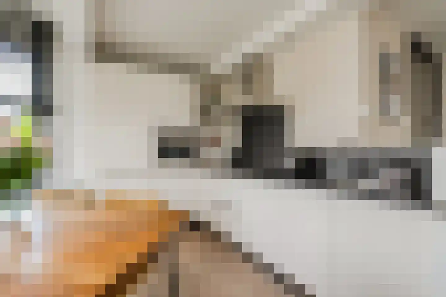Borneolaan 268 Amsterdam thumbnail 18