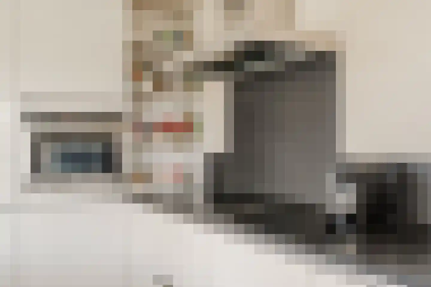 Borneolaan 268 Amsterdam thumbnail 19