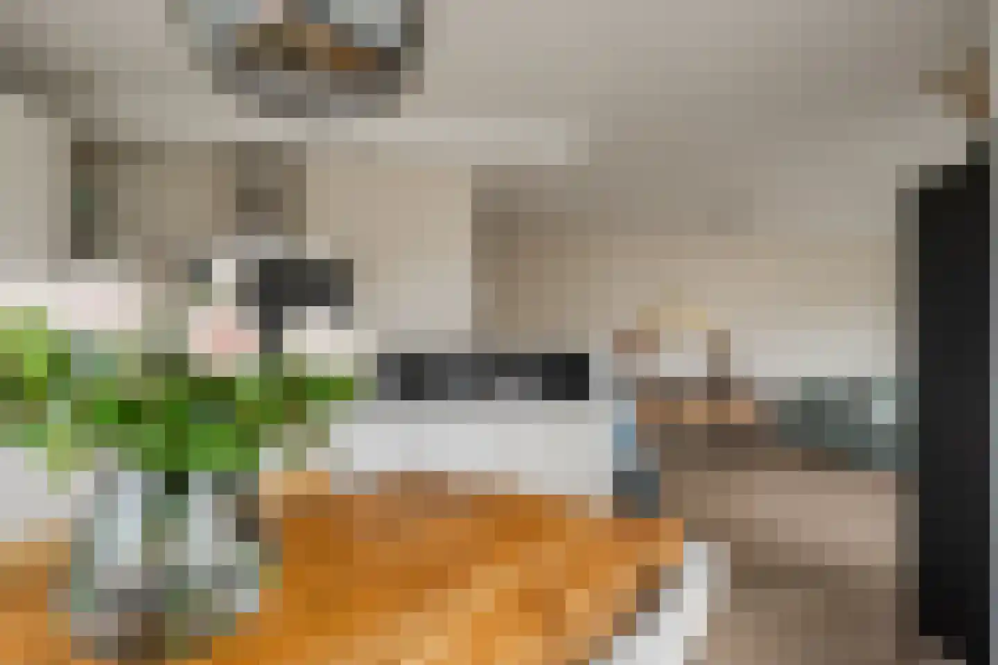Borneolaan 268 Amsterdam thumbnail 20