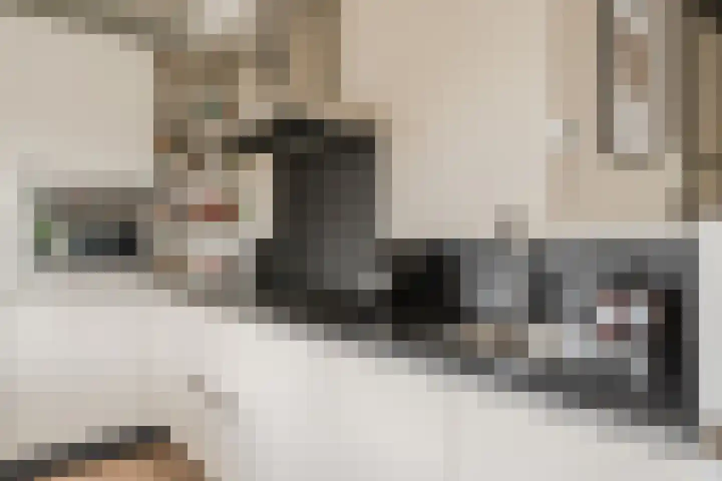 Borneolaan 268 Amsterdam thumbnail 21