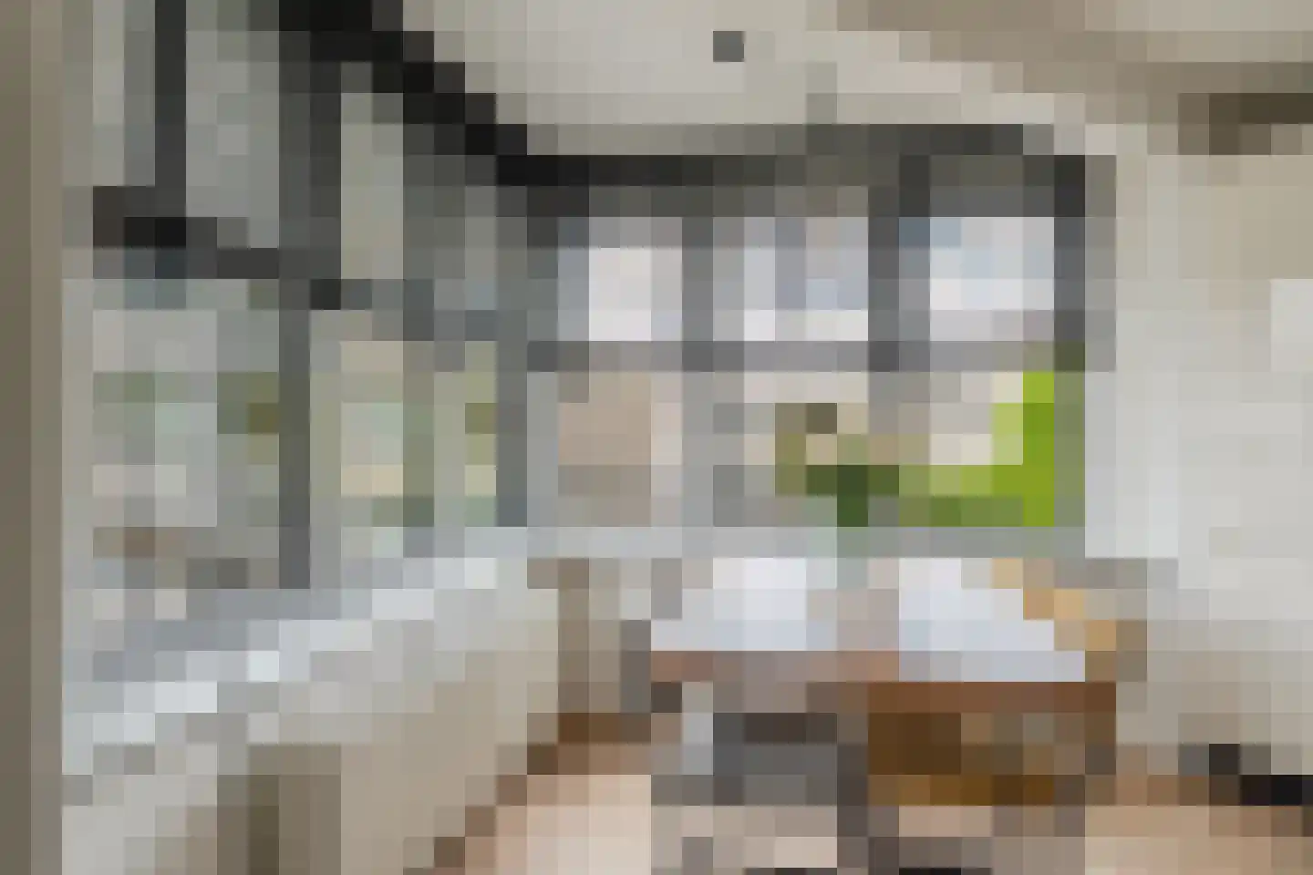 Borneolaan 268 Amsterdam thumbnail 23