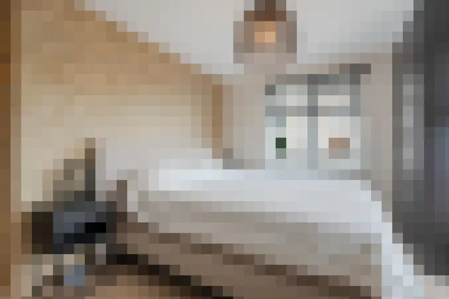 Borneolaan 268 Amsterdam thumbnail 30