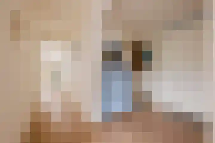 Borneolaan 270 Amsterdam thumbnail 23