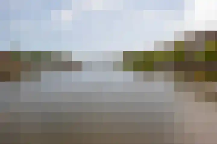 Borneolaan 270 Amsterdam thumbnail 27