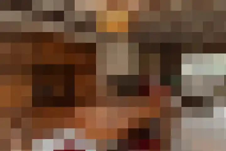 Borneolaan 41 Hilversum thumbnail 11