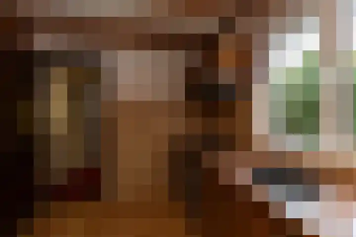 Borneolaan 41 Hilversum thumbnail 13