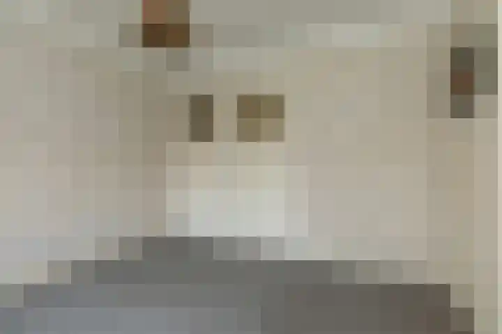 Borneolaan 41 Hilversum thumbnail 20
