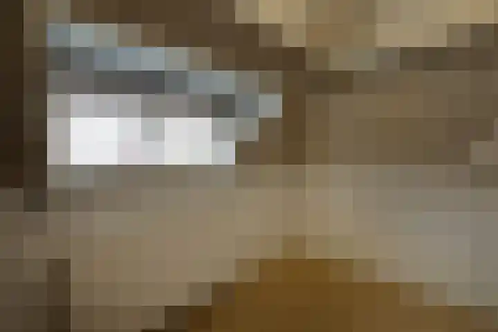 Borneolaan 41 Hilversum thumbnail 28