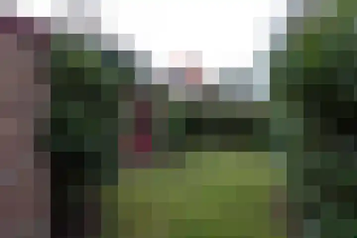 Borneolaan 41 Hilversum thumbnail 30