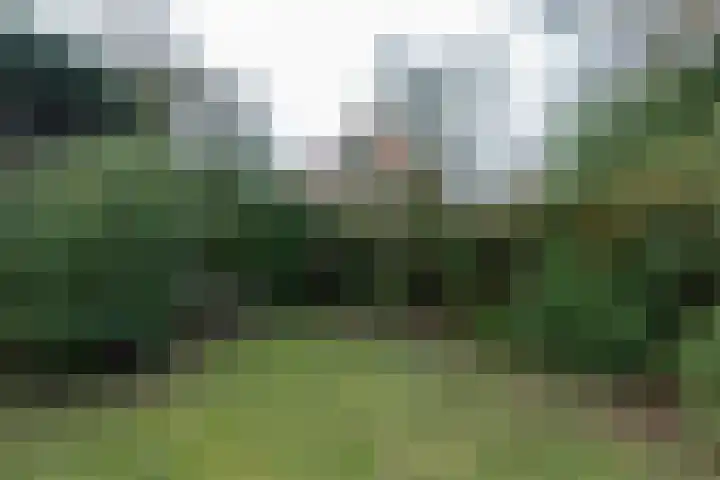 Borneolaan 41 Hilversum thumbnail 31