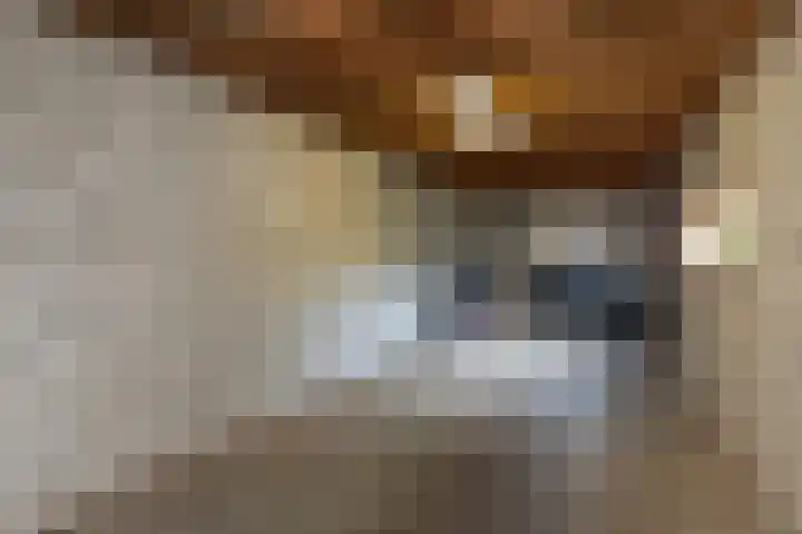 Borneolaan 41 Hilversum thumbnail 34