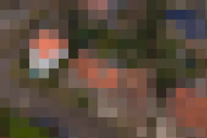 Borneolaan 41 Hilversum thumbnail 35