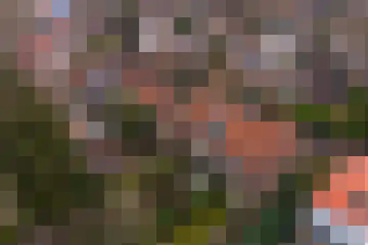 Borneolaan 41 Hilversum thumbnail 37