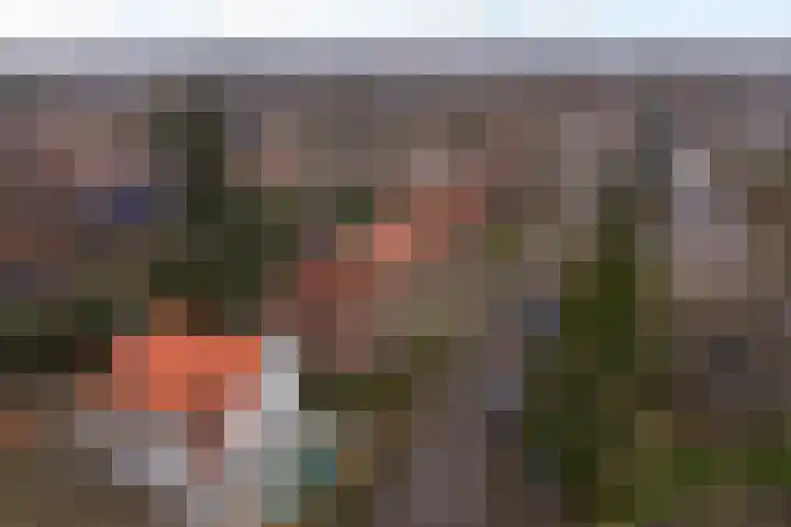 Borneolaan 41 Hilversum thumbnail 38