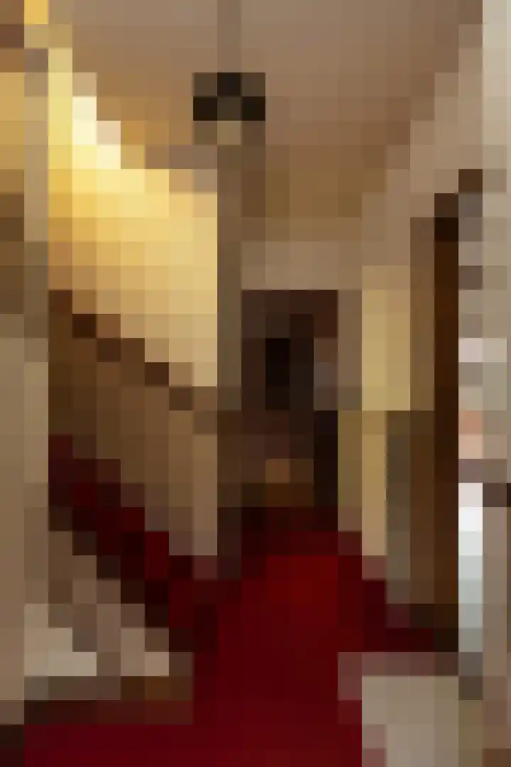 Borneolaan 41 Hilversum thumbnail 4