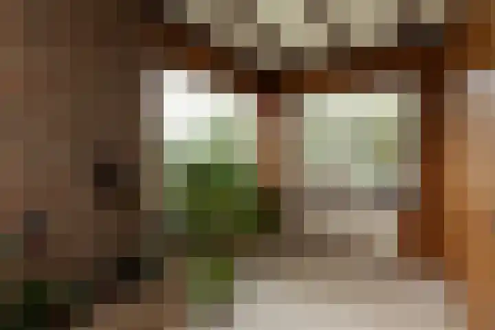 Borneolaan 41 Hilversum thumbnail 8