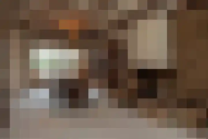 Borneolaan 41 Hilversum thumbnail 9