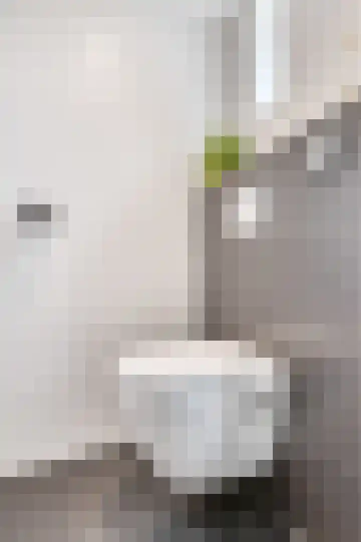 Borneolaan 48 Ede thumbnail 19