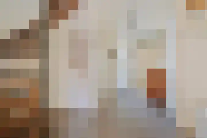 Borneolaan 6 Huizen thumbnail 12