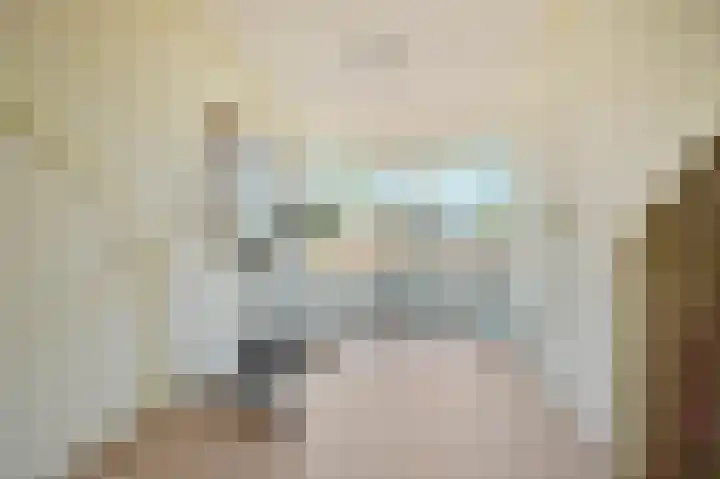Borneolaan 6 Huizen thumbnail 21
