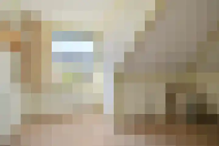 Borneolaan 6 Huizen thumbnail 23