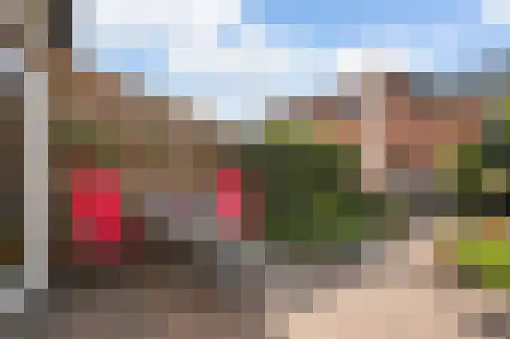 Borneolaan 6 Huizen thumbnail 24