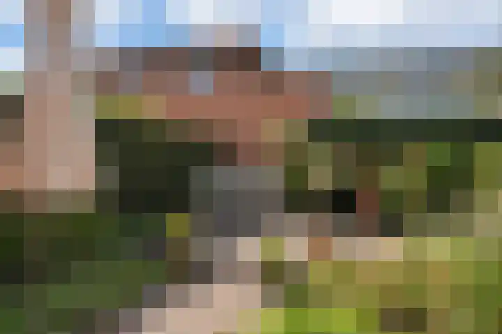 Borneolaan 6 Huizen thumbnail 26