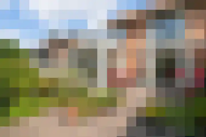 Borneolaan 6 Huizen thumbnail 29