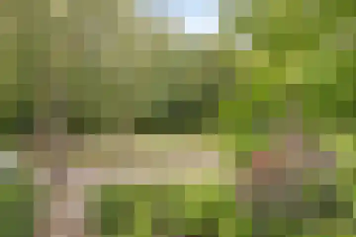 Borneoplein 22 Amersfoort thumbnail 29
