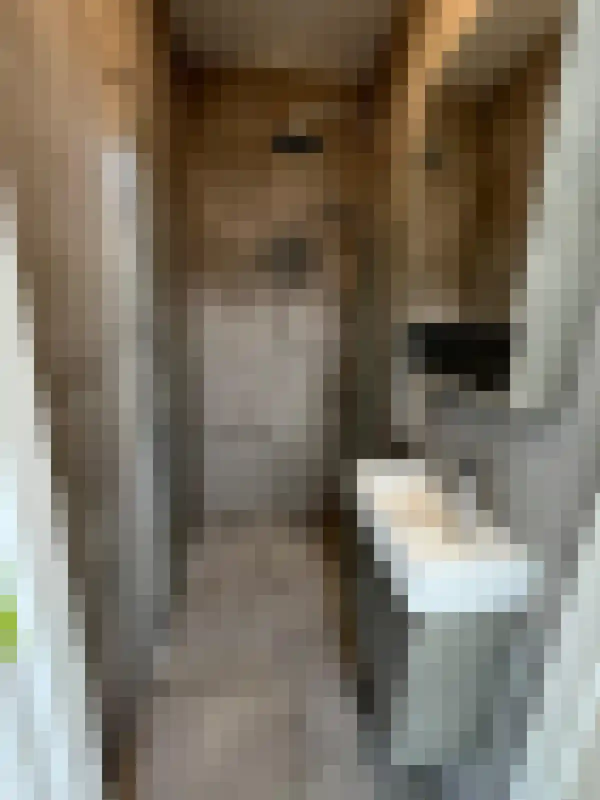 Borneoplein Groningen thumbnail 5