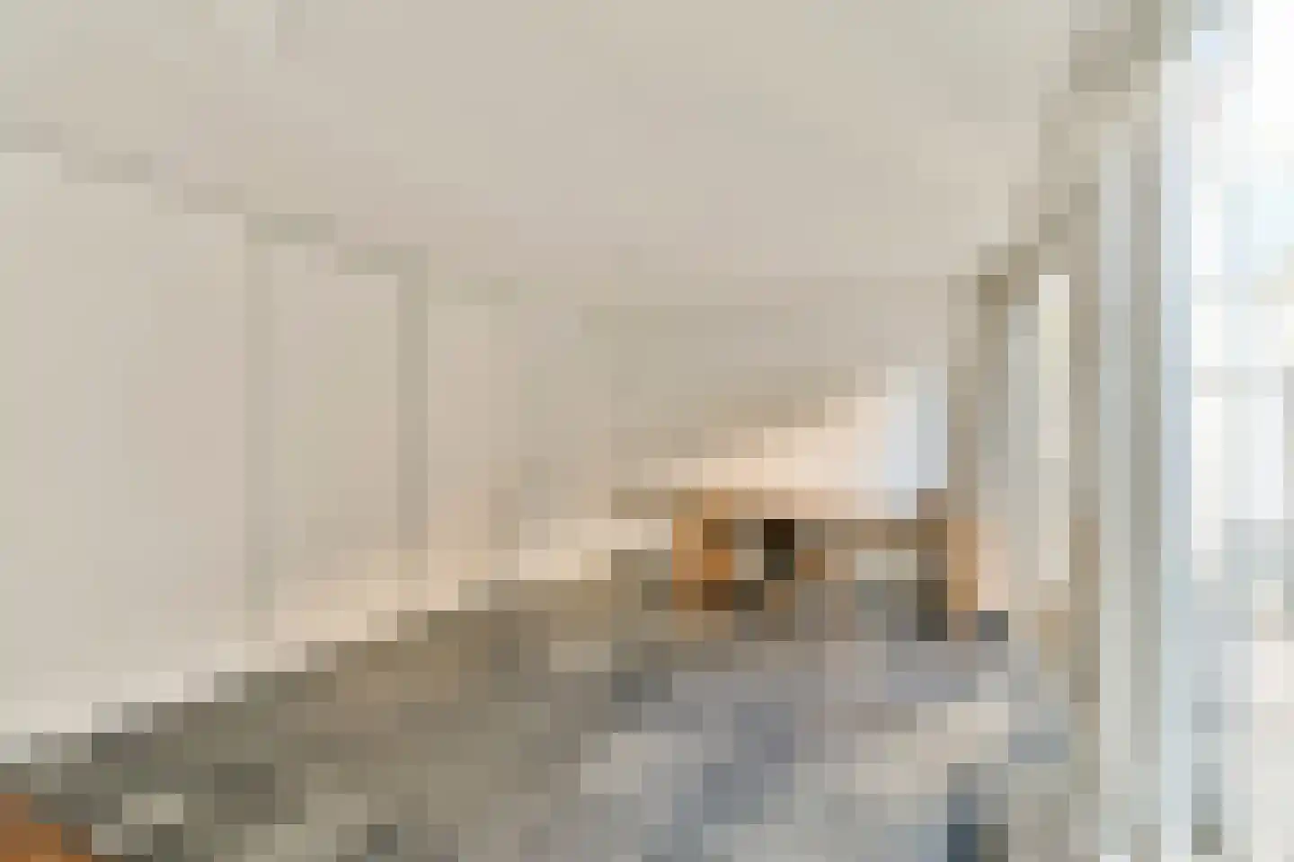 Borneostraat 1 B Amsterdam thumbnail 8